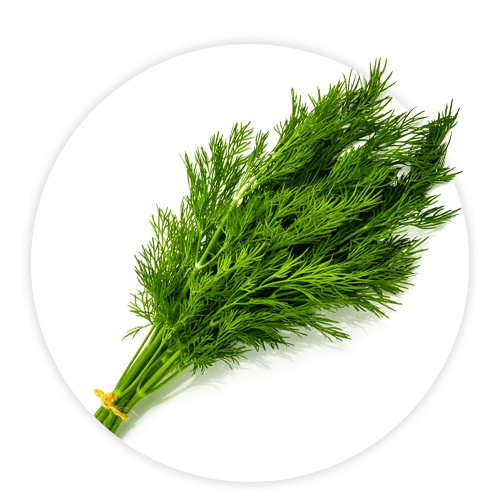Simply-Local_Dill