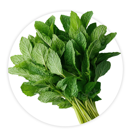 Simply-Local_Mint