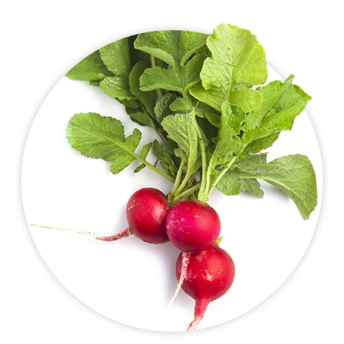 Simply-Local_Radish